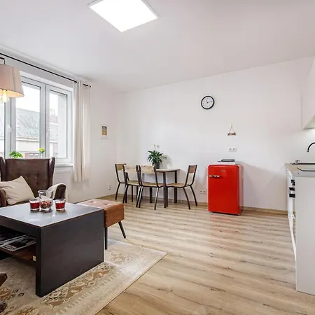 公寓 Luxury Stud - Vb 俄斯特拉发