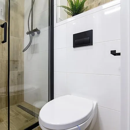 公寓 Luxury Stud - Vb 俄斯特拉发