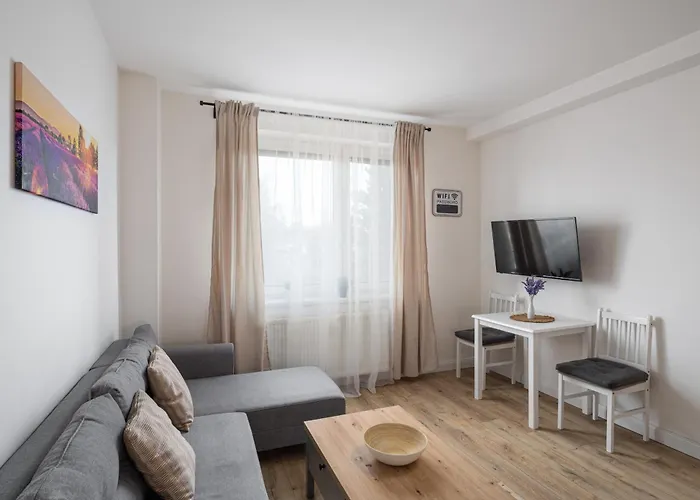 Luxury Stud - Vb * 俄斯特拉发